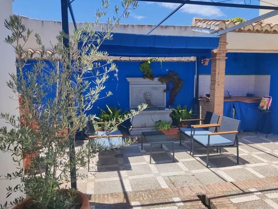Lolas Cozy Studio Granada Esterno foto